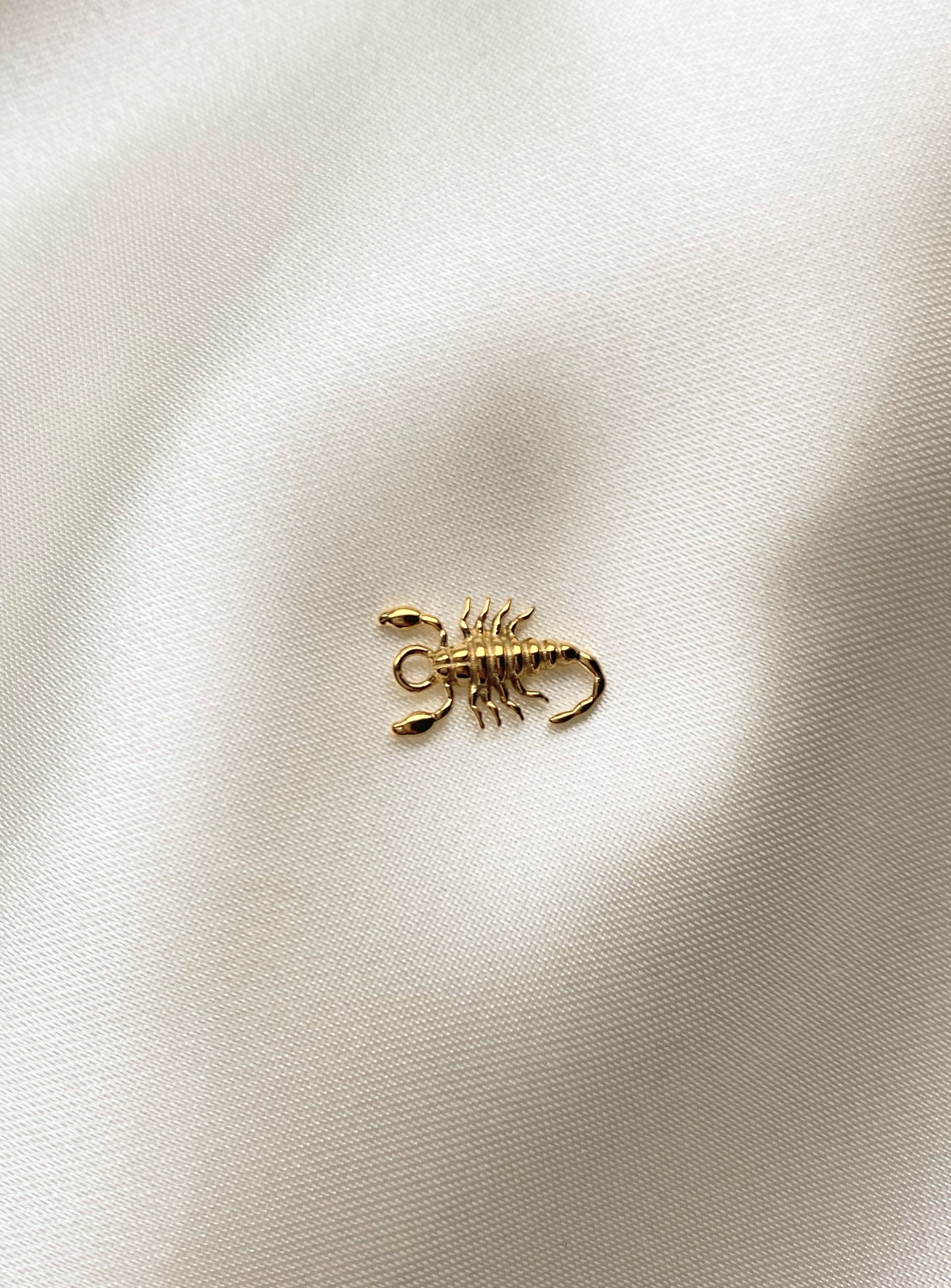 Charms scorpion