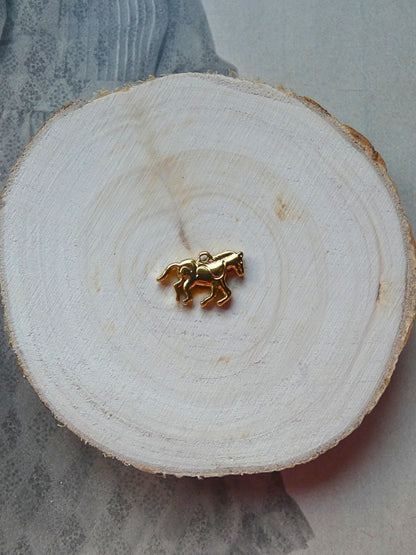 Charms cheval