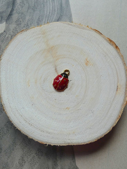 Charms coccinelle